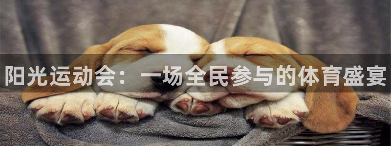 海南oety欧亿体育官网下载:阳光运动会:一场全民参与的体育