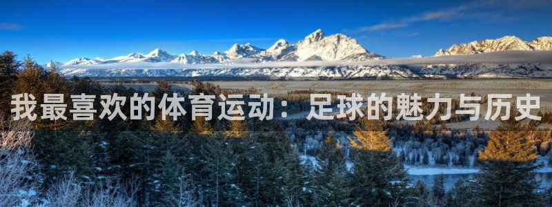 欧亿体育官方正版app集团E.ON:我最喜欢的体育运动:足球