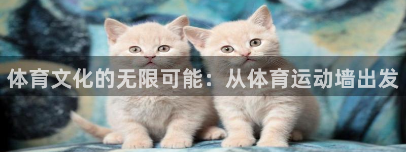 oety欧亿体育官网下载联系电话:体育文化的无限可能:从体育